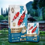 Thức ăn cá Koi Sakura – Boost Koi Growth & Muscle protein 38%