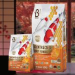 Thức ăn cá Koi Sakura – Boost Koi Growth & Color 38% protein